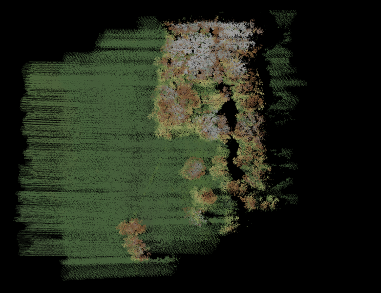 Fuzzy image of grass and trees/shrubs captured via Lidar