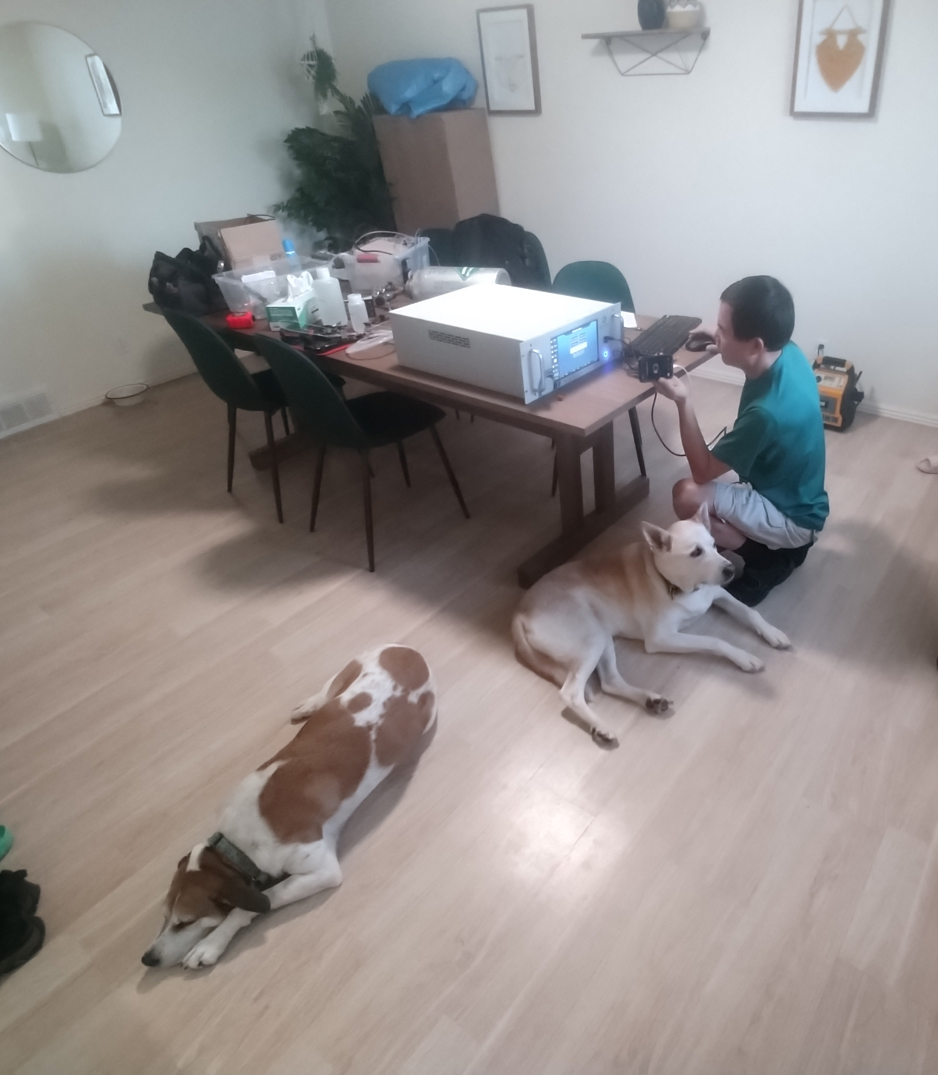 man squatting in front of a table, working on a computer instrument. Two dogs laying on floor nearby
