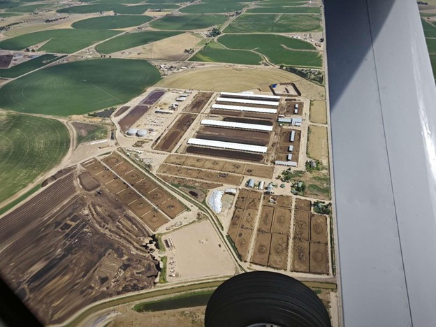 aerial view of a concentrated animal feedlot operation